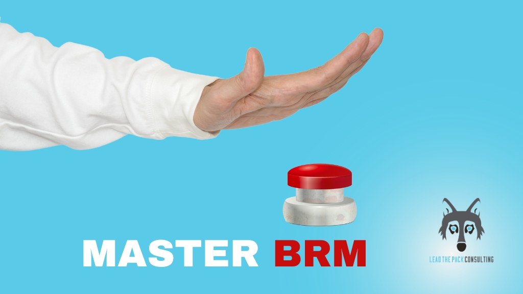 Mastering BRM: Key to Personal and Organizational Success